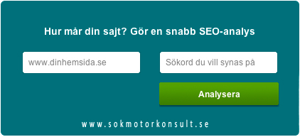 analysera seo